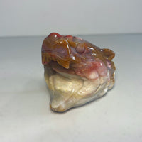 Ocean Jasper Tiger Head